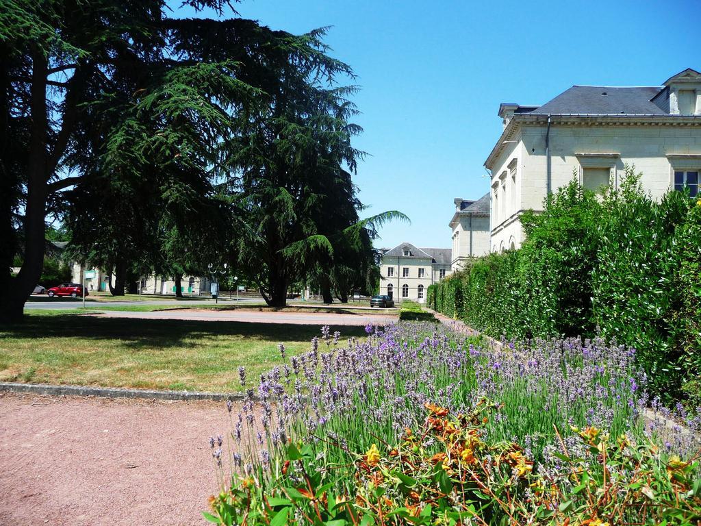 Hotel Domaine De Roiffé Exterior foto