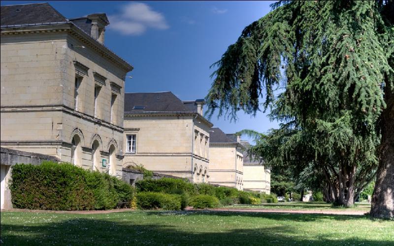 Hotel Domaine De Roiffé Exterior foto